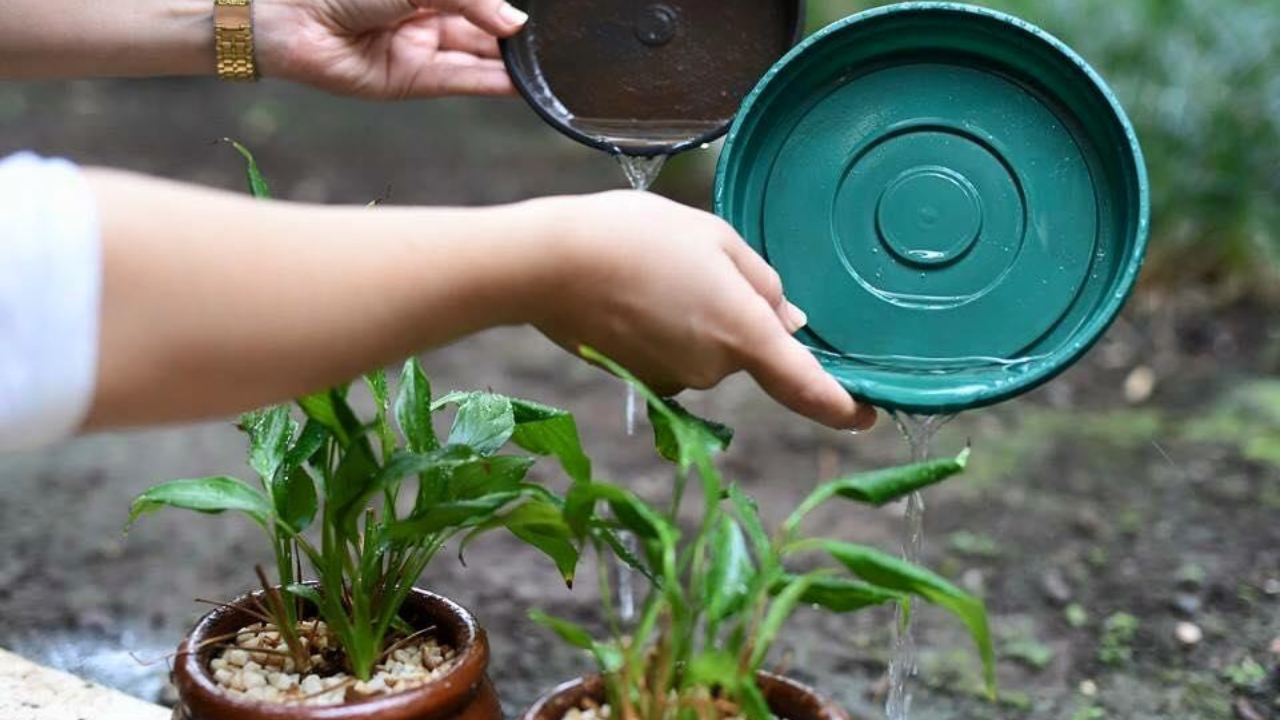 Dia D contra o Aedes Aegypti será neste sábado (23) em Nova Serrana