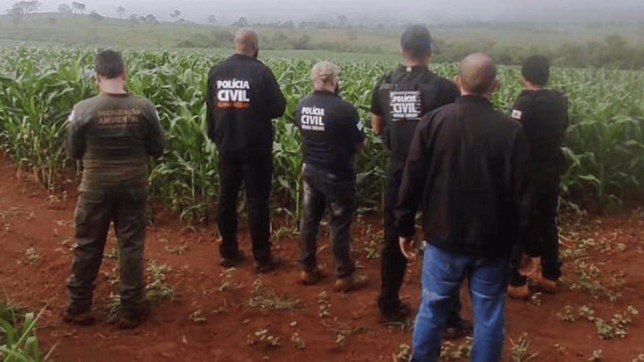 Operação Calculus mira comércio clandestino de carvão vegetal; Nova Serrana está na lista