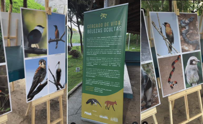 Nova Serrana revela suas belezas naturais em exposição no coreto da Praça Verde