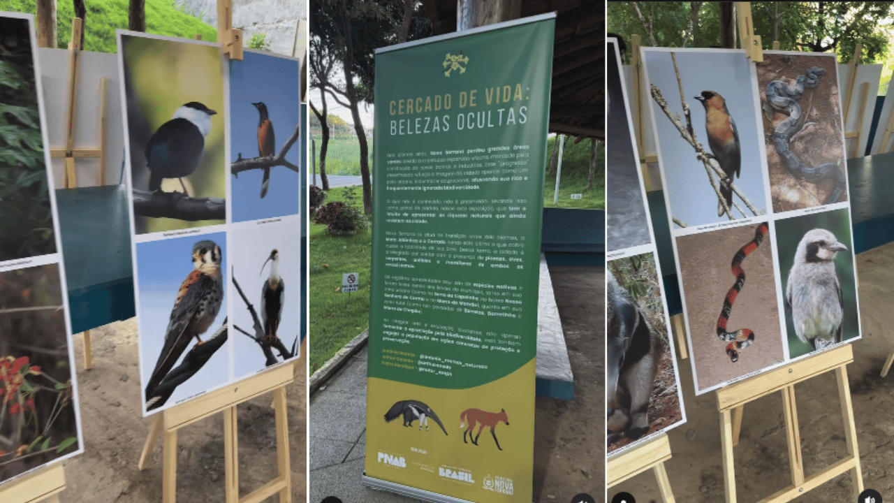 Nova Serrana revela suas belezas naturais em exposição no coreto da Praça Verde