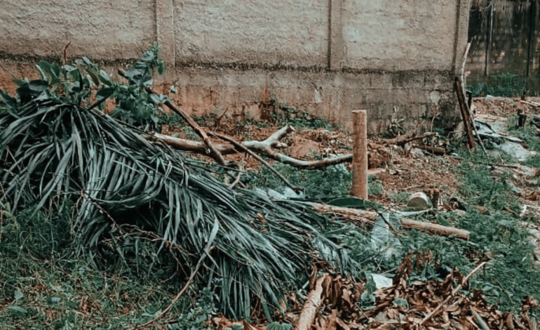 Homem é preso por crime ambiental em APP no Jefferson Batista 