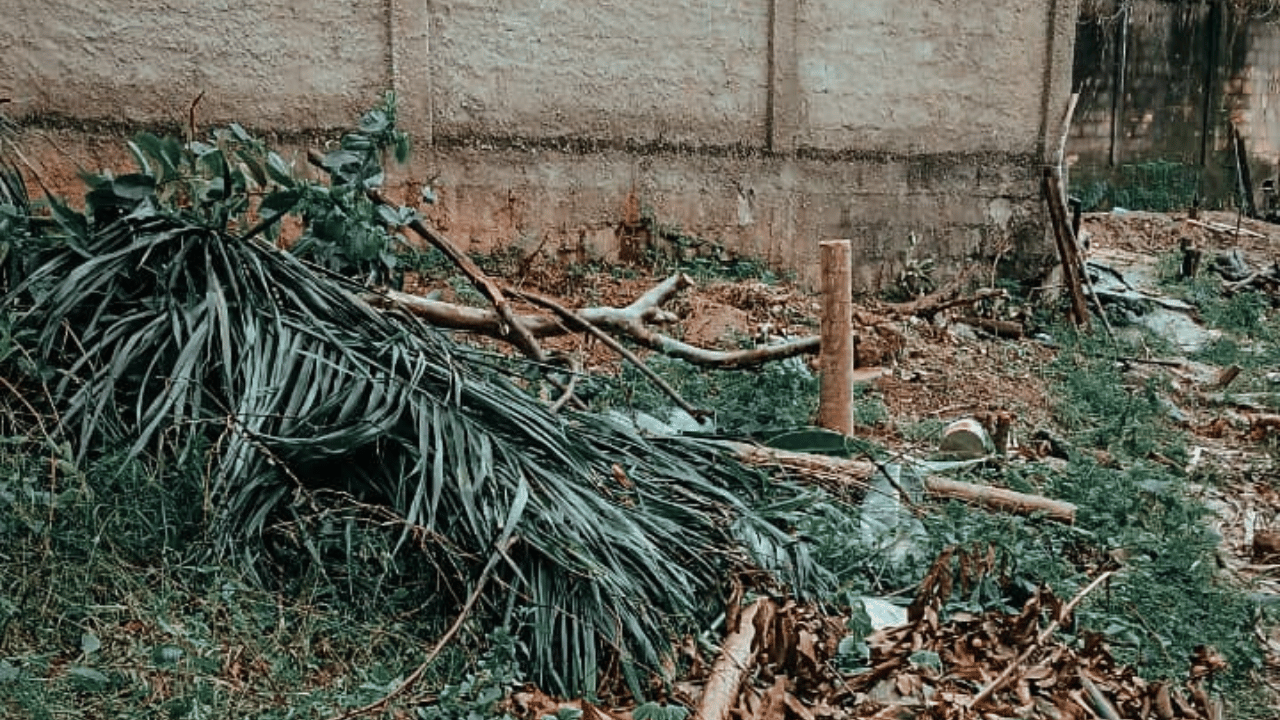 Homem é preso por crime ambiental em APP no Jefferson Batista 