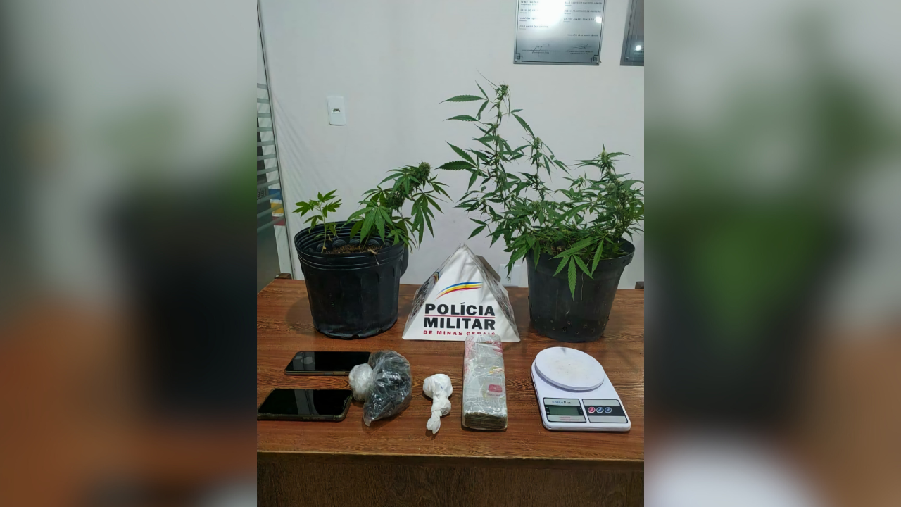 Polícia prende homem e apreende mais pés de maconha em Perdigão 