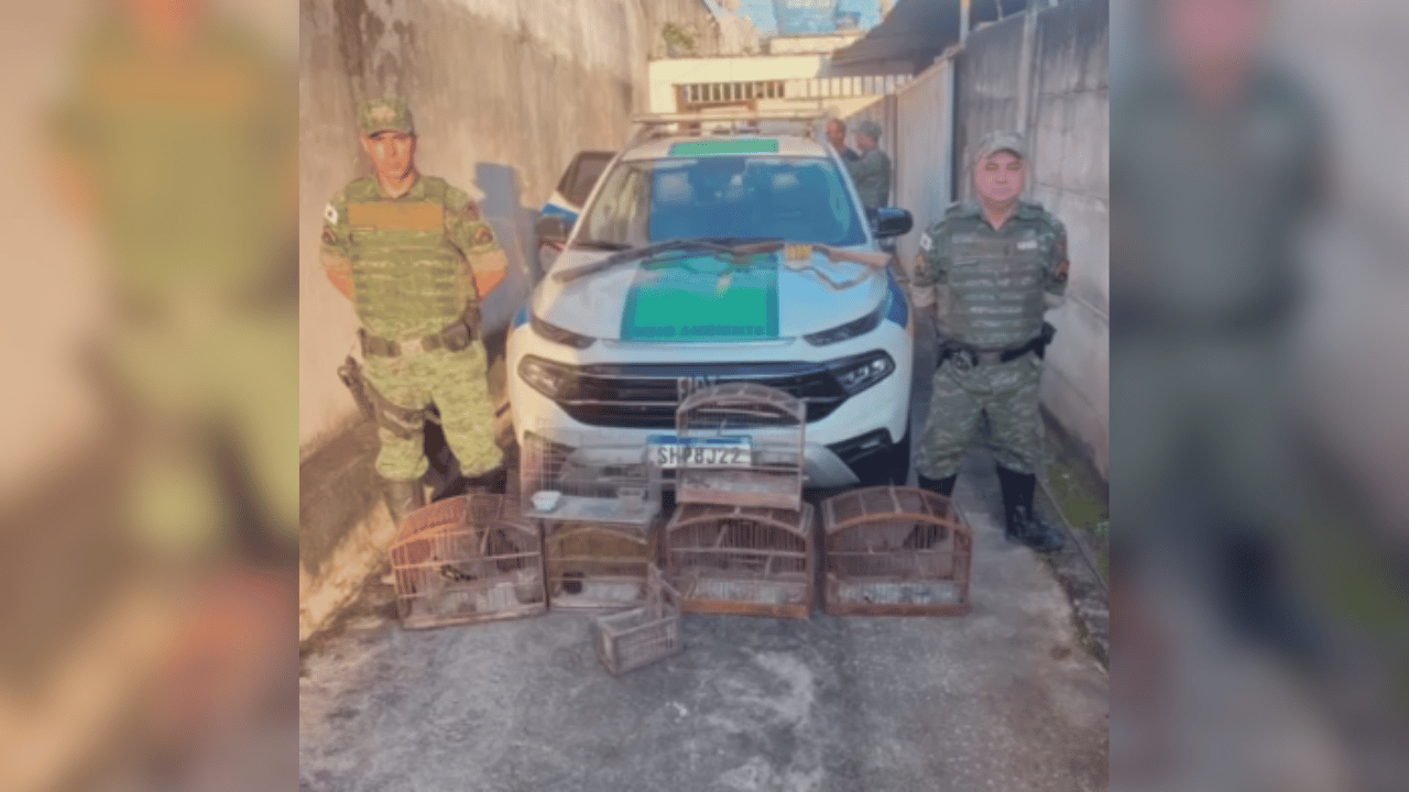Homem é multado em quase R$ 17 mil por manter pássaros silvestres em cativeiro em Nova Serrana