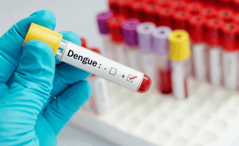 Dengue: Nova Serrana registra 1.667 casos prováveis e descarta um e mantém dois óbitos em investigação em 2025 