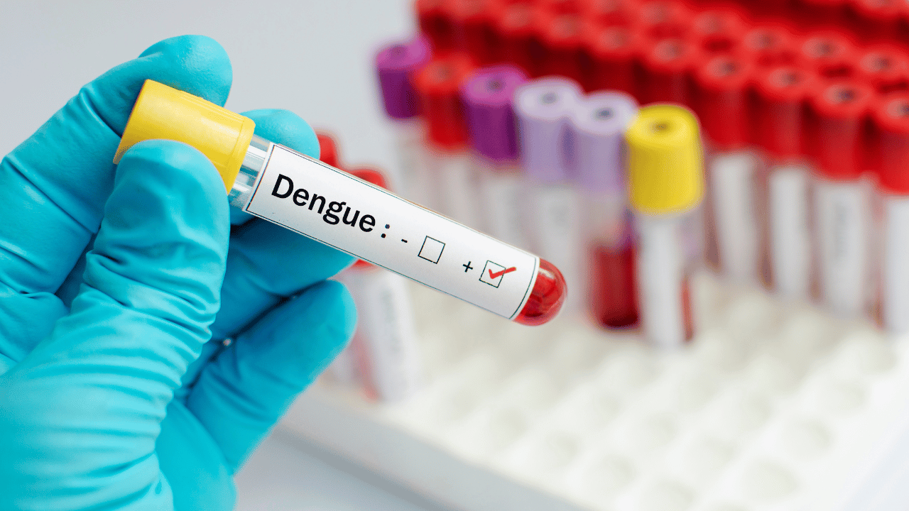 Dengue: Nova Serrana registra 1.667 casos prováveis e descarta um e mantém dois óbitos em investigação em 2025 