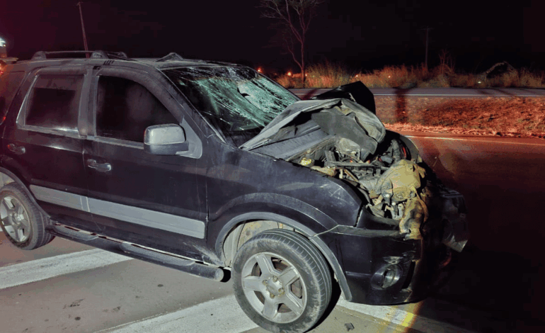 Homem morre atropelado na BR 262, próximo a Torneiros
