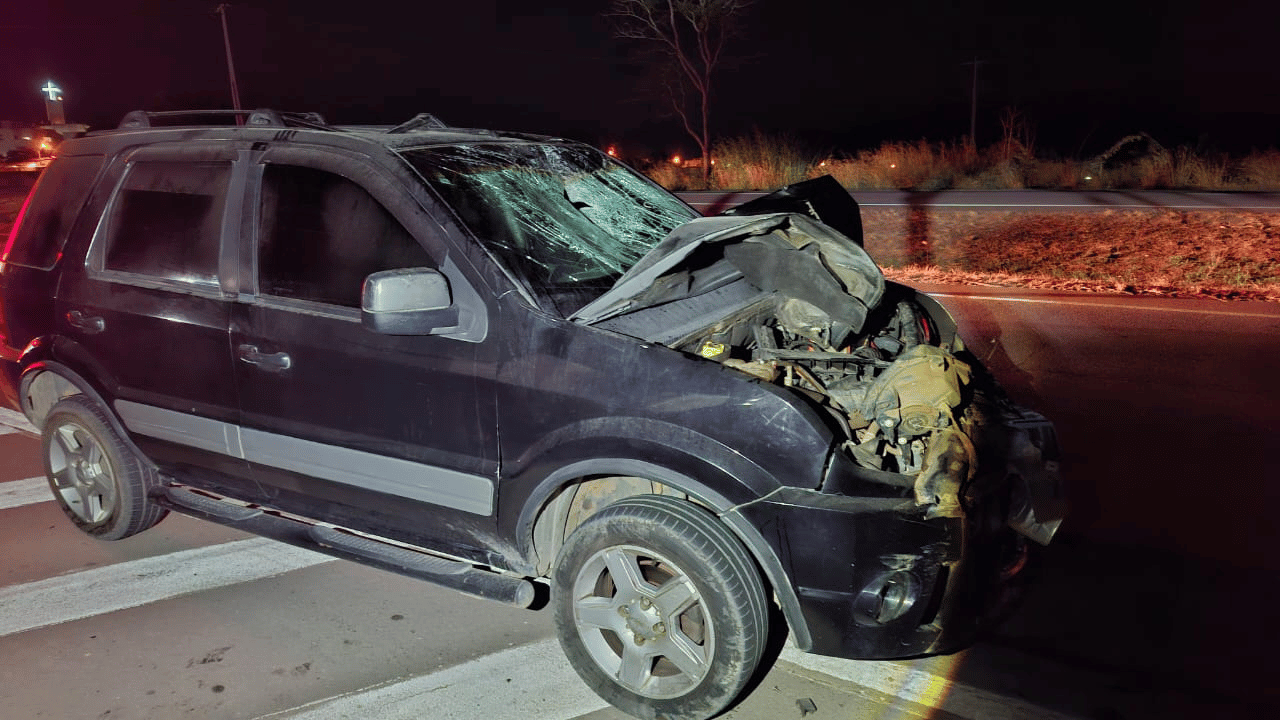 Homem morre atropelado na BR 262, próximo a Torneiros