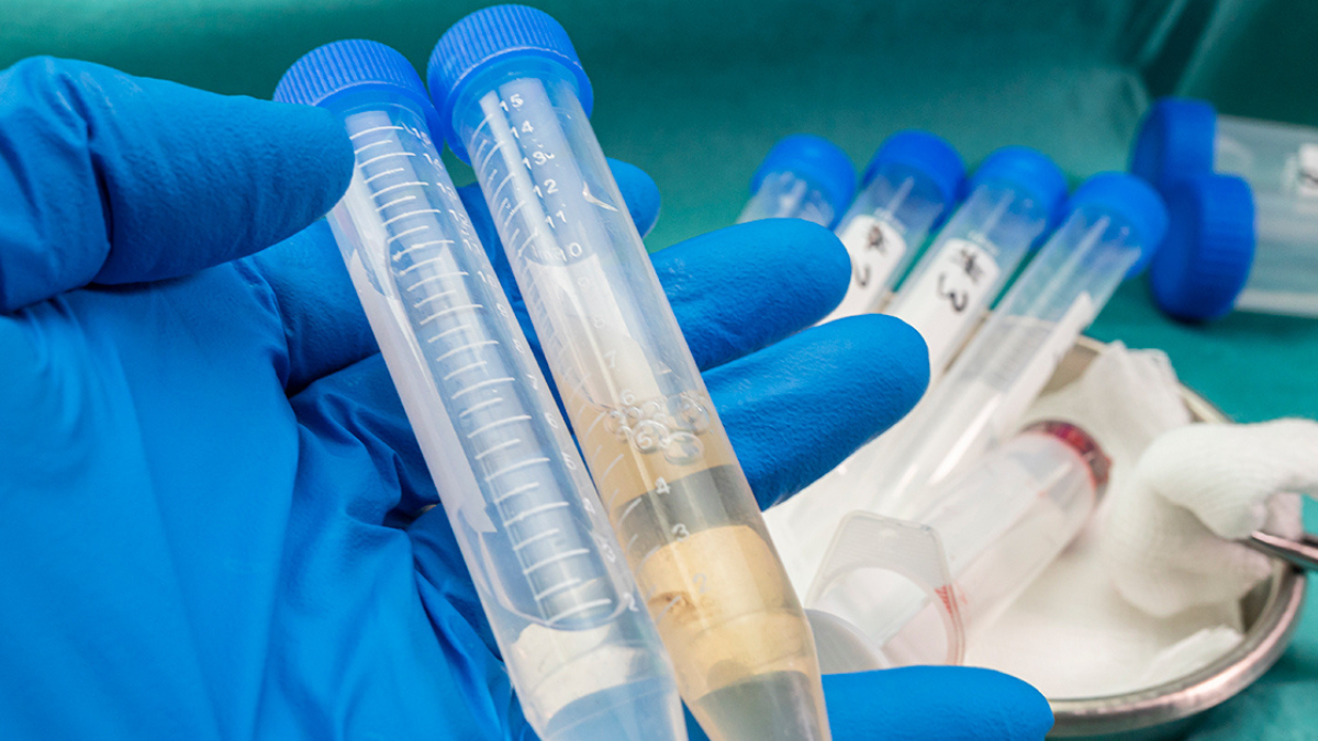 Exame descarta meningite bacteriana como causa da morte de criança em Nova Serrana